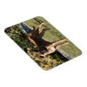 Magnet Flexible Chien de boxe de la faune debout (Côté Droit)