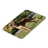 Magnet Flexible Chien de boxe de la faune debout (Côté Gauche)