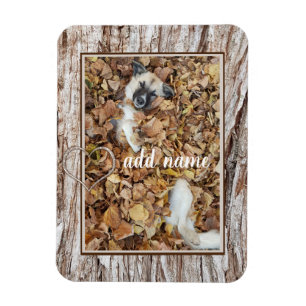 Magnet Flexible chien de collection photo moderne amusant
