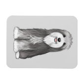 Magnet Flexible Chien de dessin de Collie à poils (Horizontal)