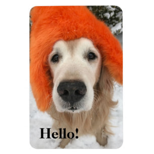 Magnet Flexible Chien de golden retriever avec le casquette