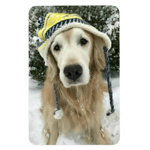 Magnet Flexible Chien de golden retriever avec le casquette mignon