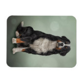 Magnet Flexible Chien de montagne bernois (Horizontal)
