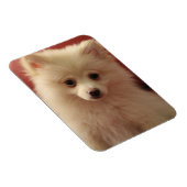 Magnet Flexible Chien de Poméranie mignon (Côté Droit)