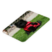 Magnet Flexible Chien de Poméranie Noire regardant la caméra (Côté Gauche)