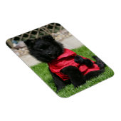 Magnet Flexible Chien de Poméranie Noire regardant la caméra (Côté Droit)