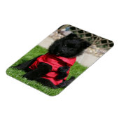 Magnet Flexible Chien de Poméranie Noire regardant la caméra (Côté Gauche)