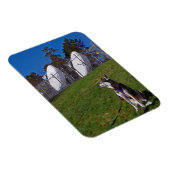 Magnet Flexible Chien de repérage (Côté Droit)