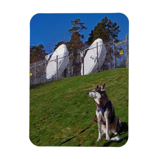 Magnet Flexible Chien de repérage (Vertical)