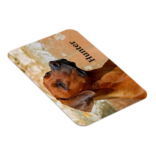 Magnet Flexible Chien de Rhodesian Ridgeback (Côté Droit)