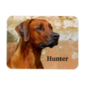 Magnet Flexible Chien de Rhodesian Ridgeback (Horizontal)