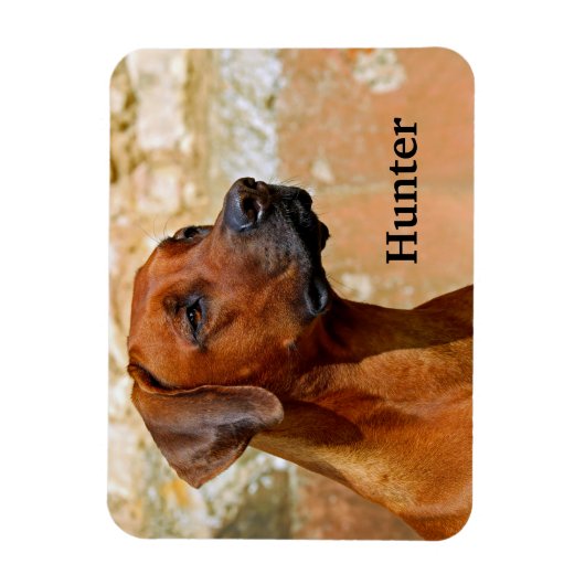 Magnet Flexible Chien de Rhodesian Ridgeback (Vertical)