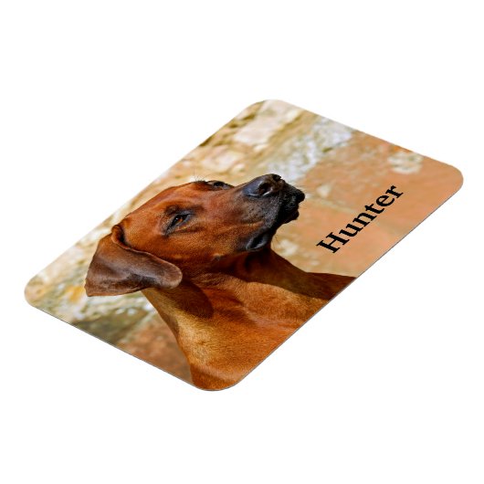 Magnet Flexible Chien de Rhodesian Ridgeback (Côté Gauche)