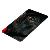 Magnet Flexible chien de rojo (Côté Gauche)