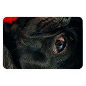 Magnet Flexible chien de rojo (Horizontal)