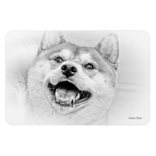 Magnet Flexible Chien de sourire de Shiba Inu