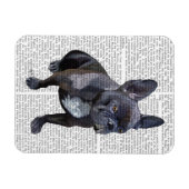 Magnet Flexible Chien de taureau français (Horizontal)