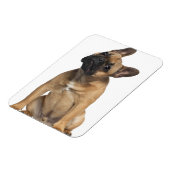 Magnet Flexible Chien de taureau français (7 mois) (Côté Gauche)