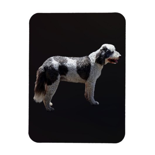 Magnet Flexible Chien d'eau portugais (Vertical)