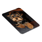 Magnet Flexible Chien du Yorkshire Terrier (Côté Droit)