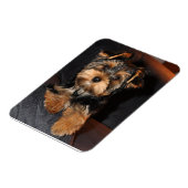 Magnet Flexible Chien du Yorkshire Terrier (Côté Gauche)
