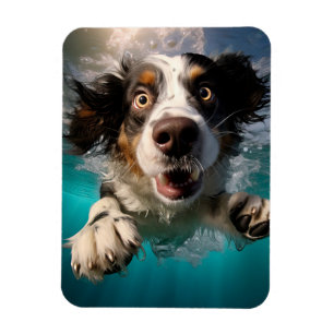 Magnet Flexible Chien Excité Nageant Sous L'eau Design