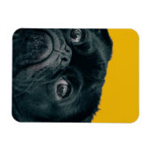 Magnet Flexible chien jaune (Horizontal)