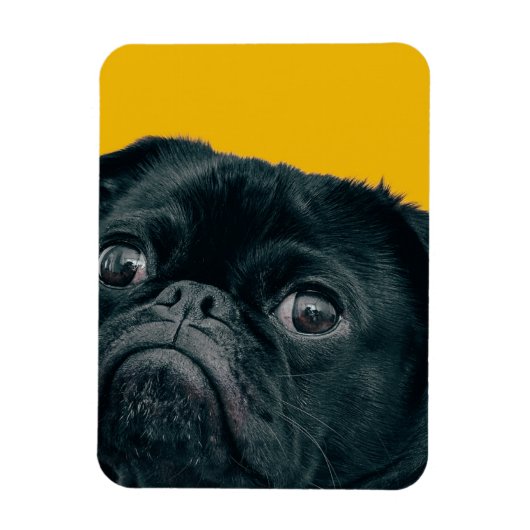 Magnet Flexible chien jaune (Vertical)