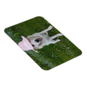 Magnet Flexible chien le plus doux au monde (Côté Droit)