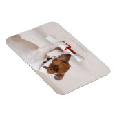 Magnet Flexible Chien regardant vers le bas un diplôme (Côté Droit)