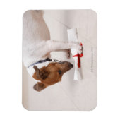 Magnet Flexible Chien regardant vers le bas un diplôme (Vertical)