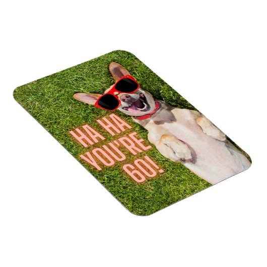 Magnet Flexible Chien riant 60e anniversaire (Côté Droit)