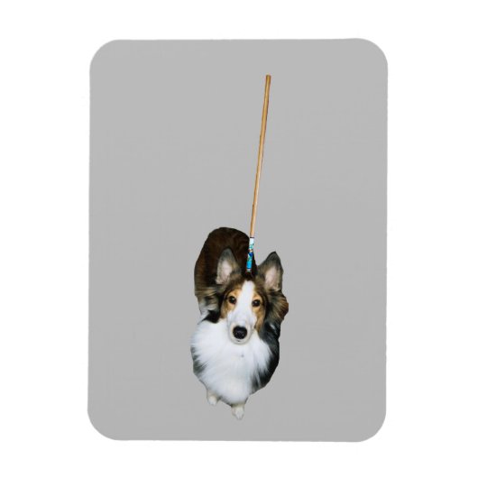 Magnet Flexible Chien Serpillière (Vertical)