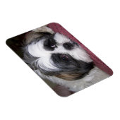Magnet Flexible Chien Shih Tzu (Côté Droit)