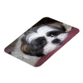 Magnet Flexible Chien Shih Tzu (Côté Gauche)