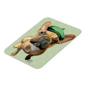 Magnet Flexible Chien-taureaux français Brown avec Casquette vert (Côté Gauche)