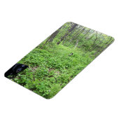 Magnet Flexible Chiens dans les bois (Côté Gauche)