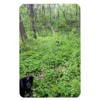 Magnet Flexible Chiens dans les bois