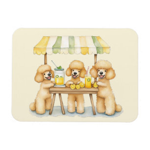 Magnet Flexible Chiens De Poodle Standard Avec Un Socle De Lemonad