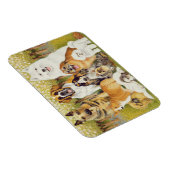 Magnet Flexible Chiens en mai (Côté Droit)