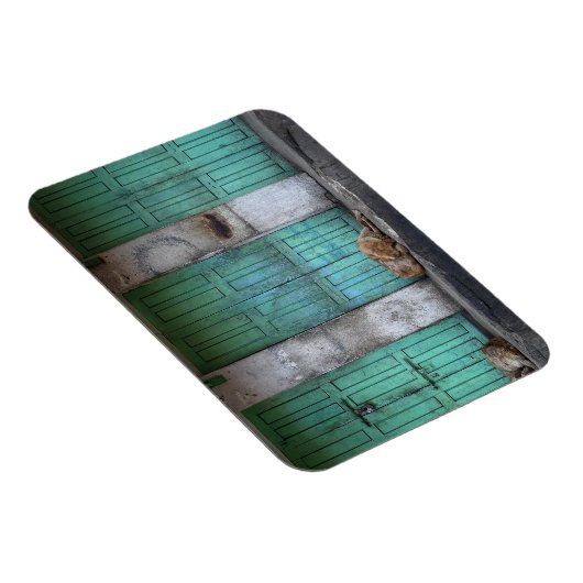 Magnet Flexible Chiens errants devant les portes rectangle magnéti (Côté Droit)