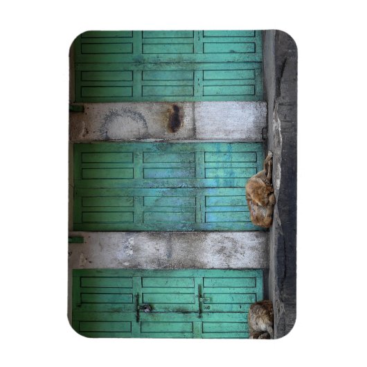 Magnet Flexible Chiens errants devant les portes rectangle magnéti (Vertical)