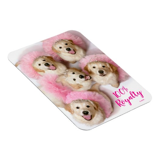 Magnet Flexible Chiens princes à Tiaras (Côté Droit)