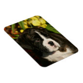 Magnet Flexible Chiffres de boîte (Côté Droit)