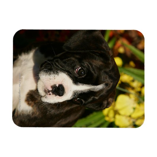 Magnet Flexible Chiffres de boîte (Horizontal)