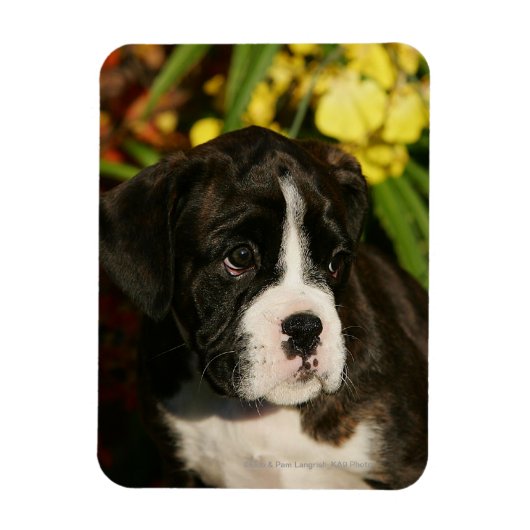 Magnet Flexible Chiffres de boîte (Vertical)