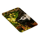 Magnet Flexible Chiffres de boîte (Côté Droit)