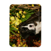 Magnet Flexible Chiffres de boîte (Vertical)