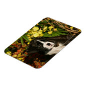 Magnet Flexible Chiffres de boîte (Côté Gauche)