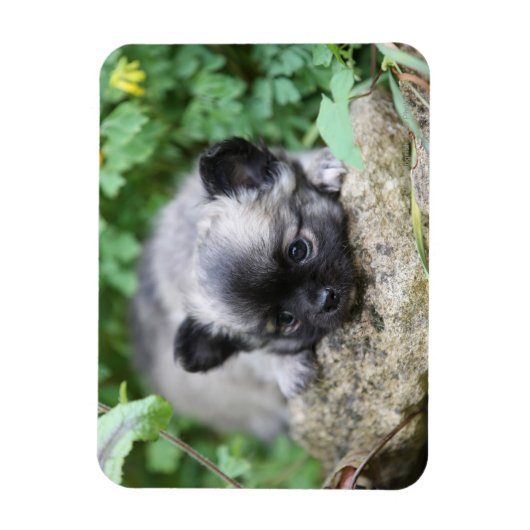 Magnet Flexible Chihuahua (Vertical)